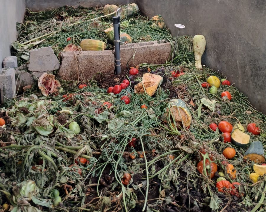 abonate al cambio granadilla 6