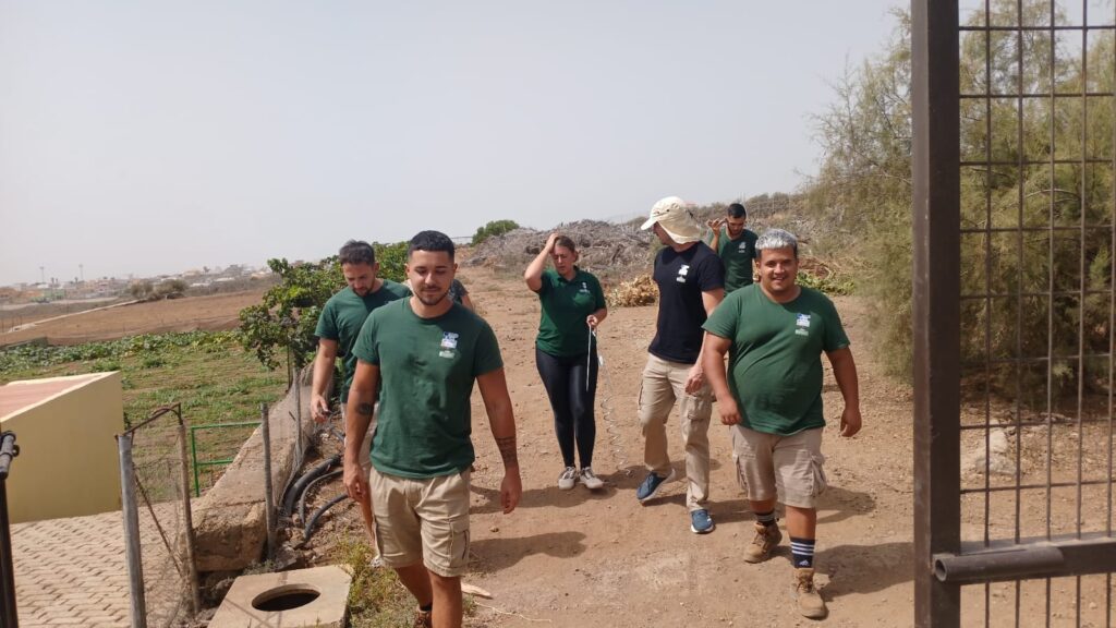 abonatealcambio granadilladeabona tenerfie 1