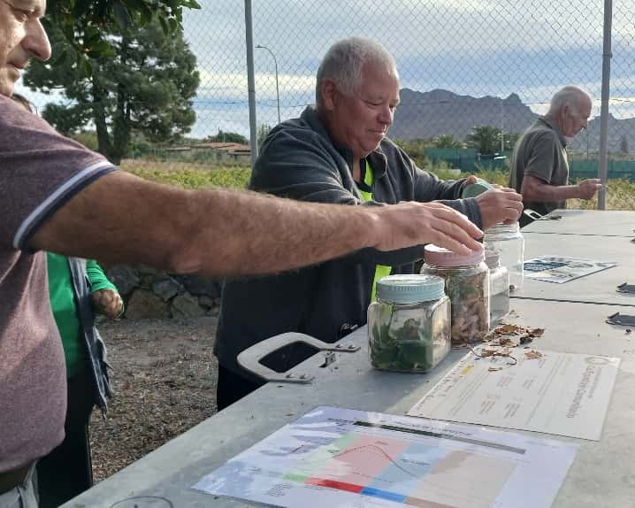 santiago del teide 3