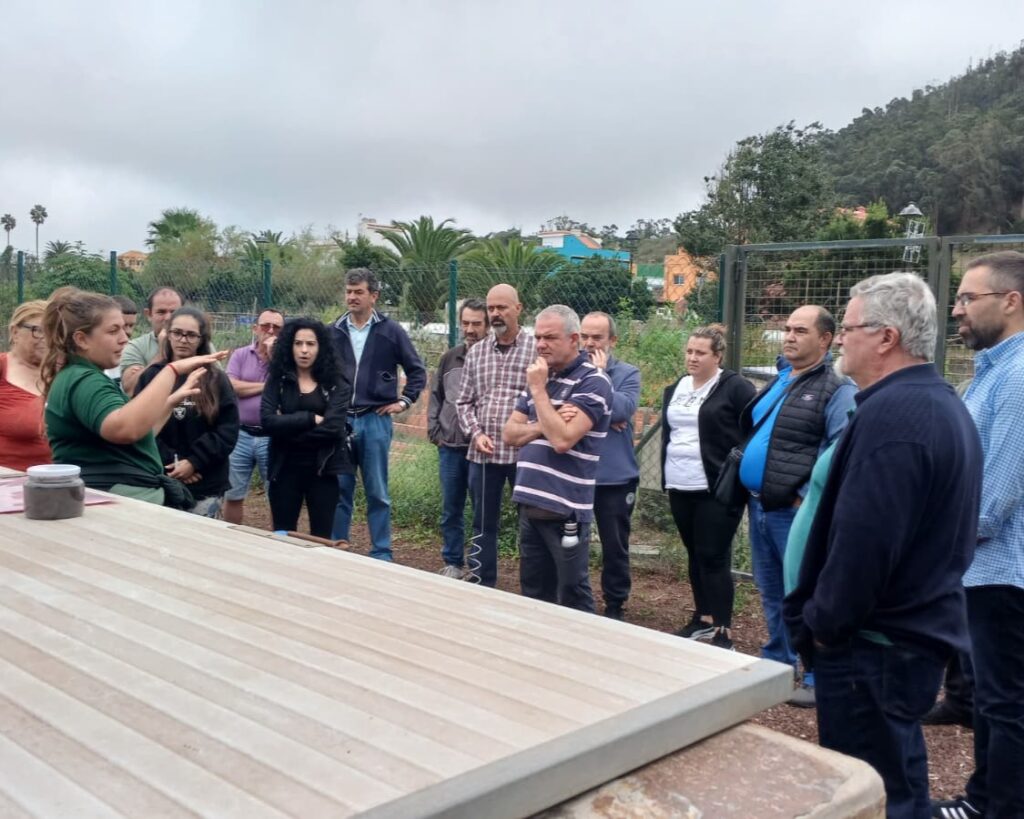 WhatsApp Image 2025 10 31 at 12.55.57 1